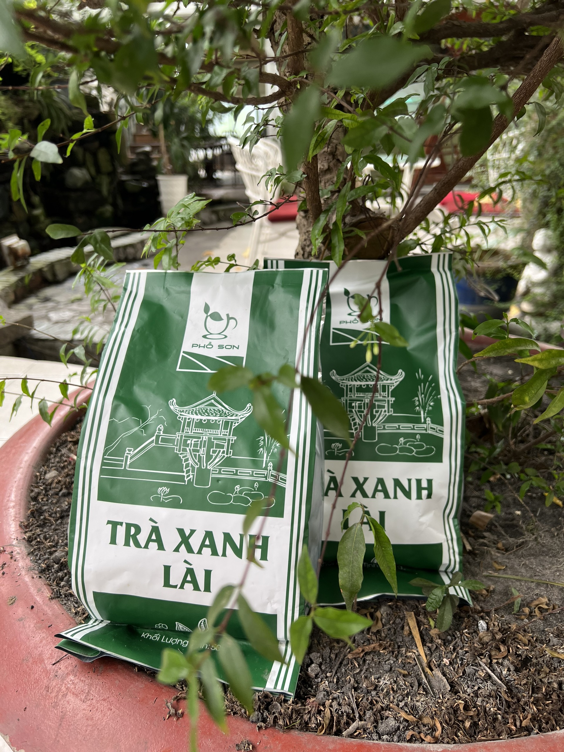 Trà Xanh Lài Phổ Sơn 500gr