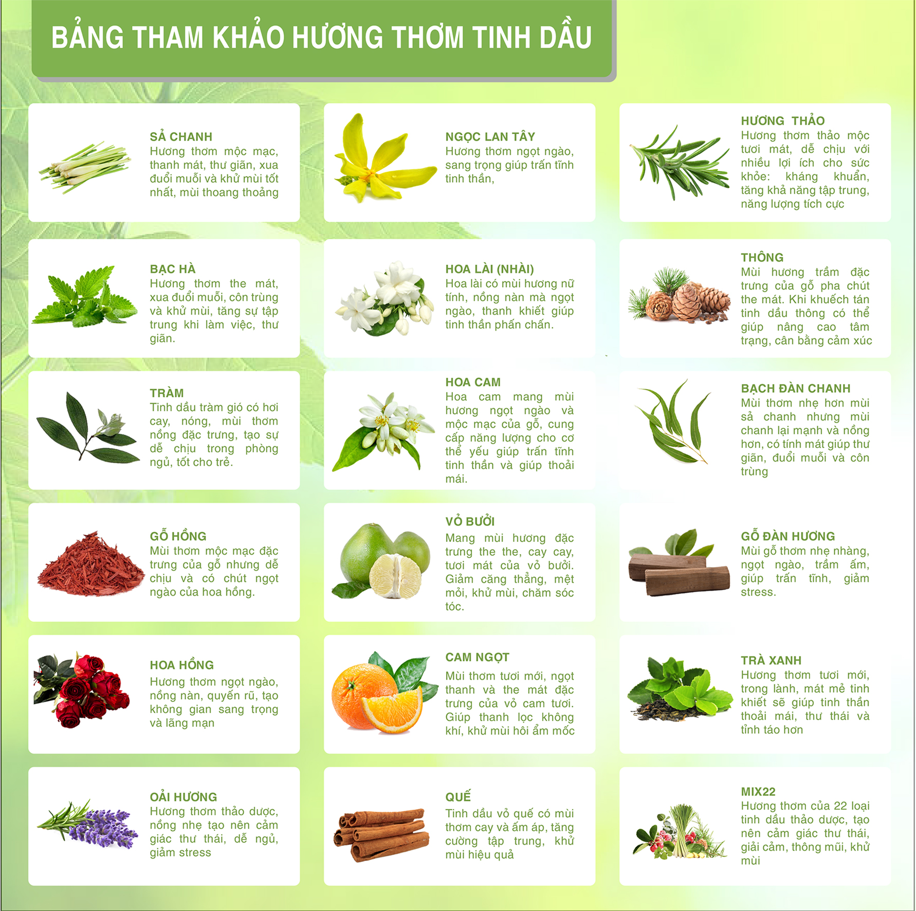 Tinh Dầu Hoa Cam Biyokea