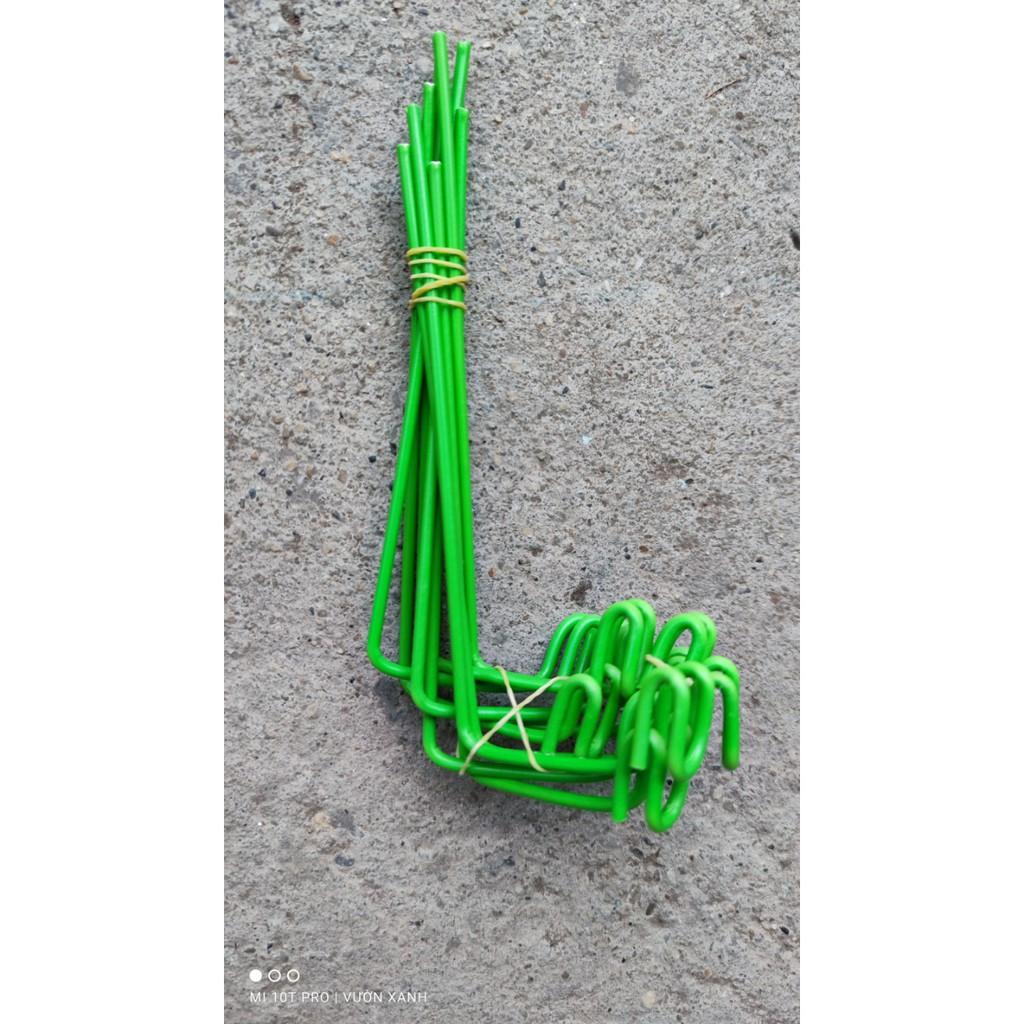 Set 10 que kẹp chậu lan, cố định keiki, kẹp ki lan đủ size