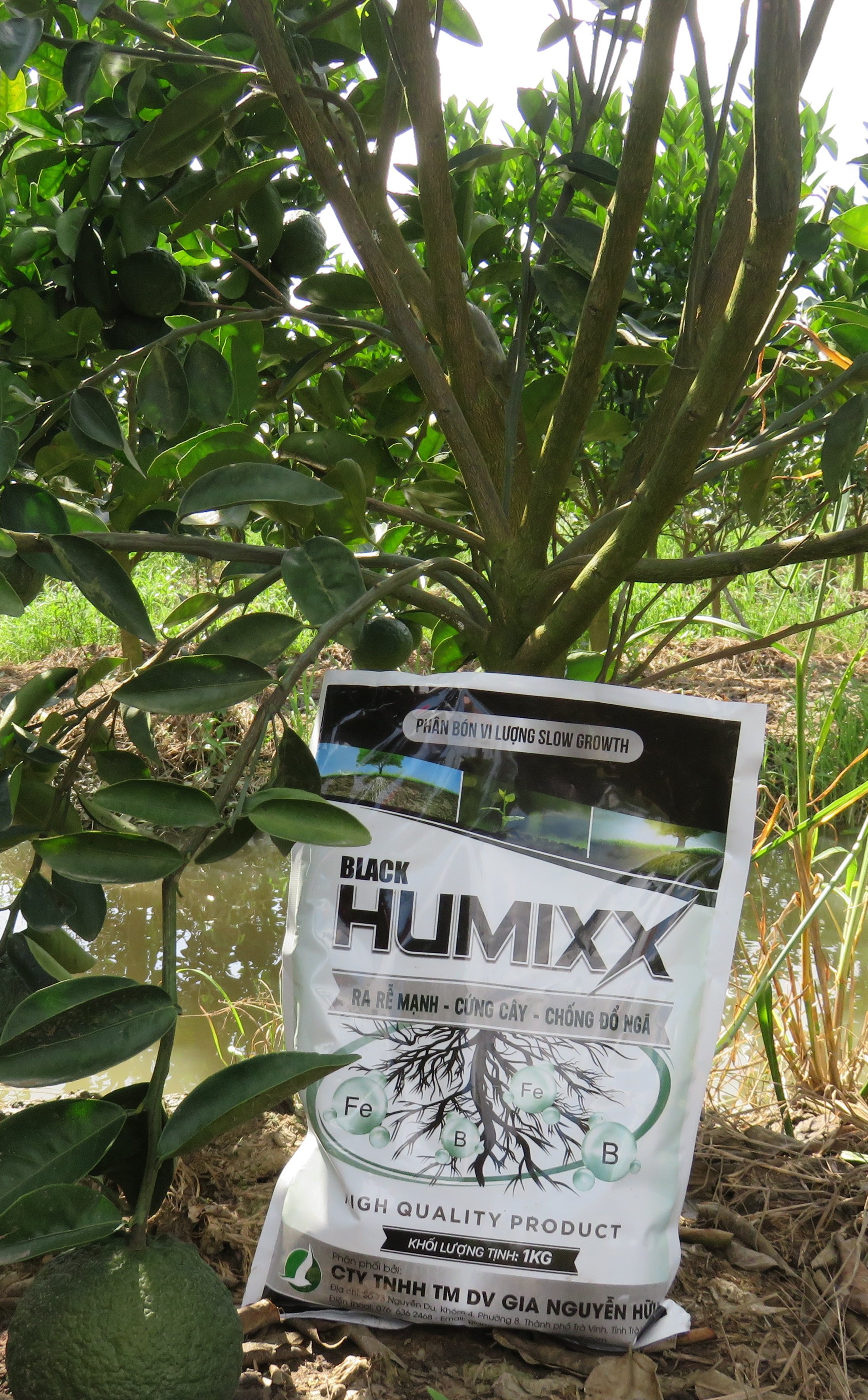 PHÂN BÓN HUMIC 1KG - DẠNG VẢY TAN CAO CẤP, DƯỠNG CÂY TỐT ĐẤT