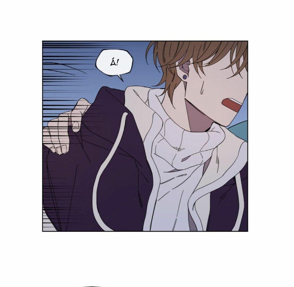 mr. miss chapter 11 2