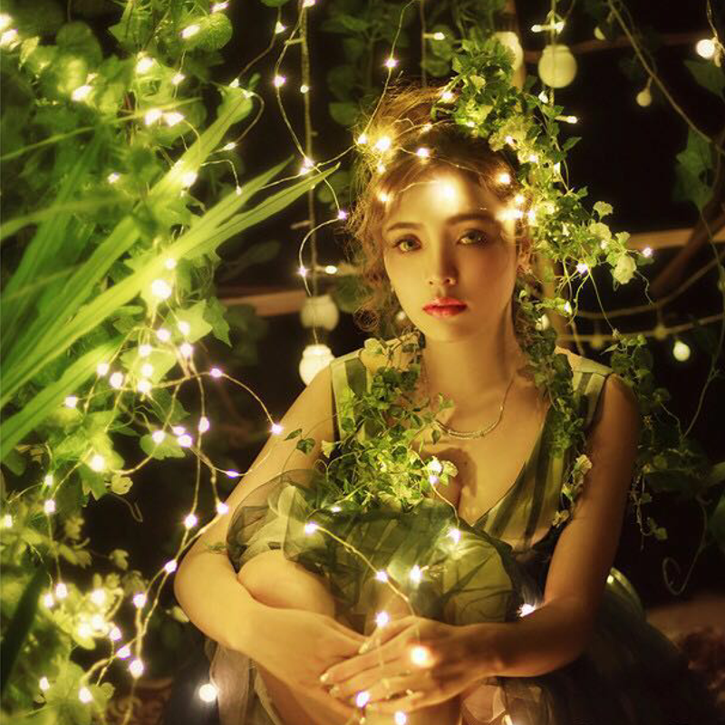 Dây đèn Fairy Light đom đóm chipsbling 2 mét dùng pin CR2032