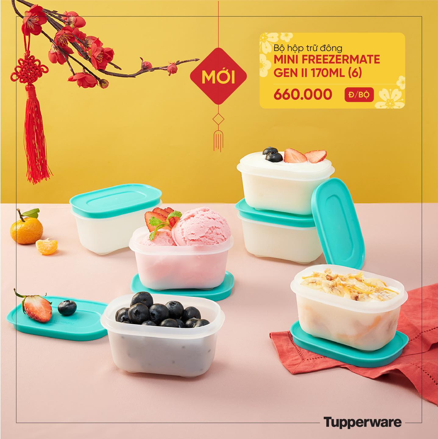 BỘ HỘP TRỮ ĐÔNG MINI FREEZERMATE GEN II 170ML (6)