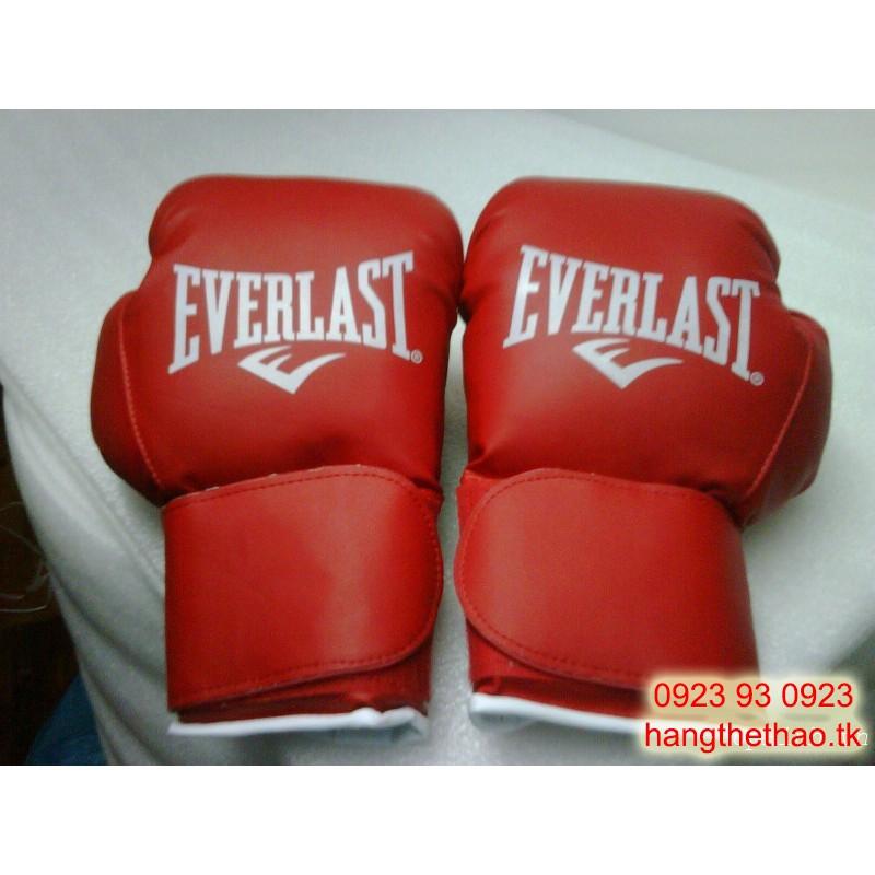 1 cặp găng boxing everlast