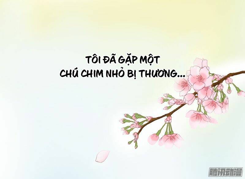 tình nhân kiếp trước là vĩ hồ chapter 1 4