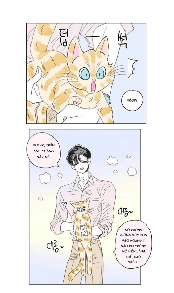 câu chuyện của hosik chapter 50 11