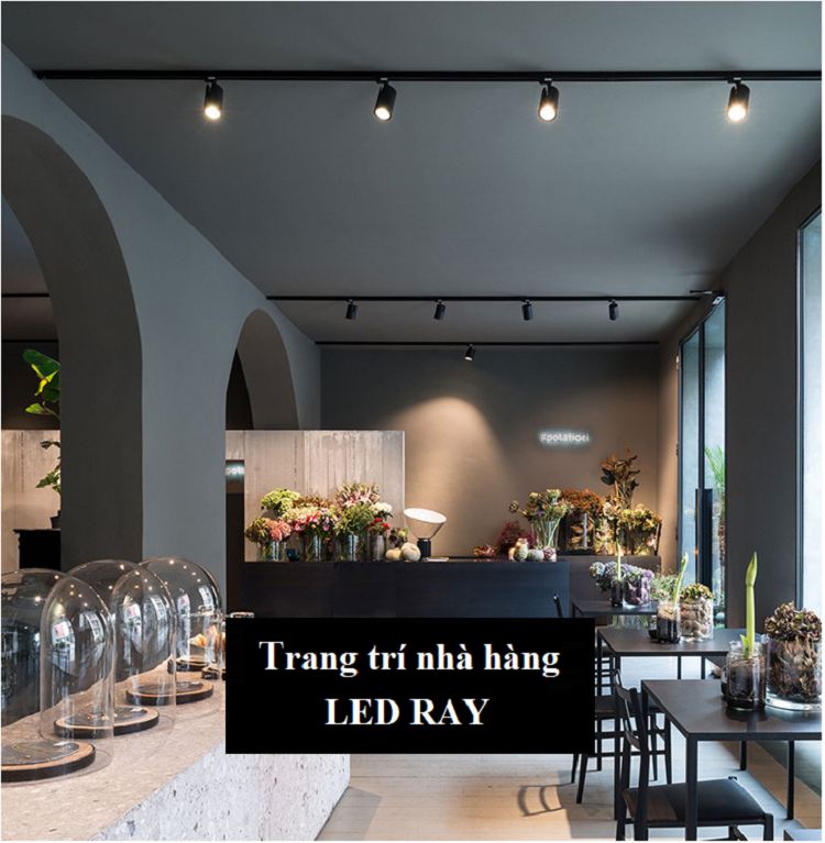 Đèn rọi ray 7w