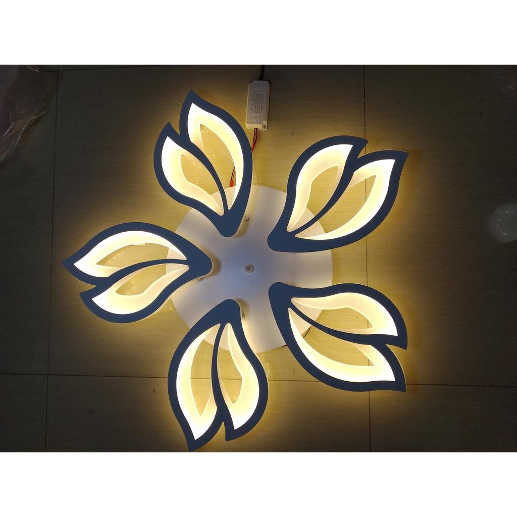 Led mâm mica - 3 chế độ màu