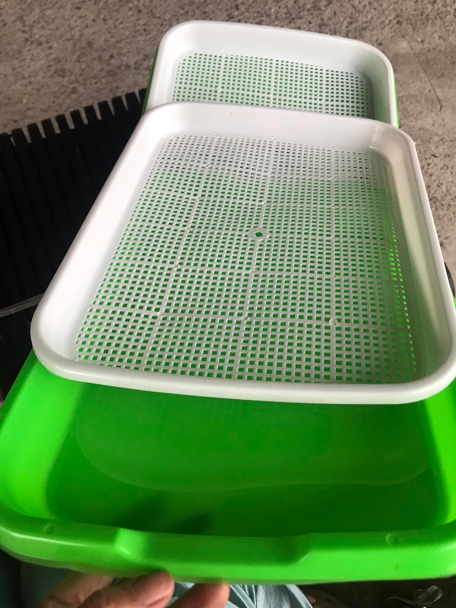 Khay trồng rau mầm, khay ươm rau mầm sạch, làm bằng nhựa PP an toàn KT 33X25X4