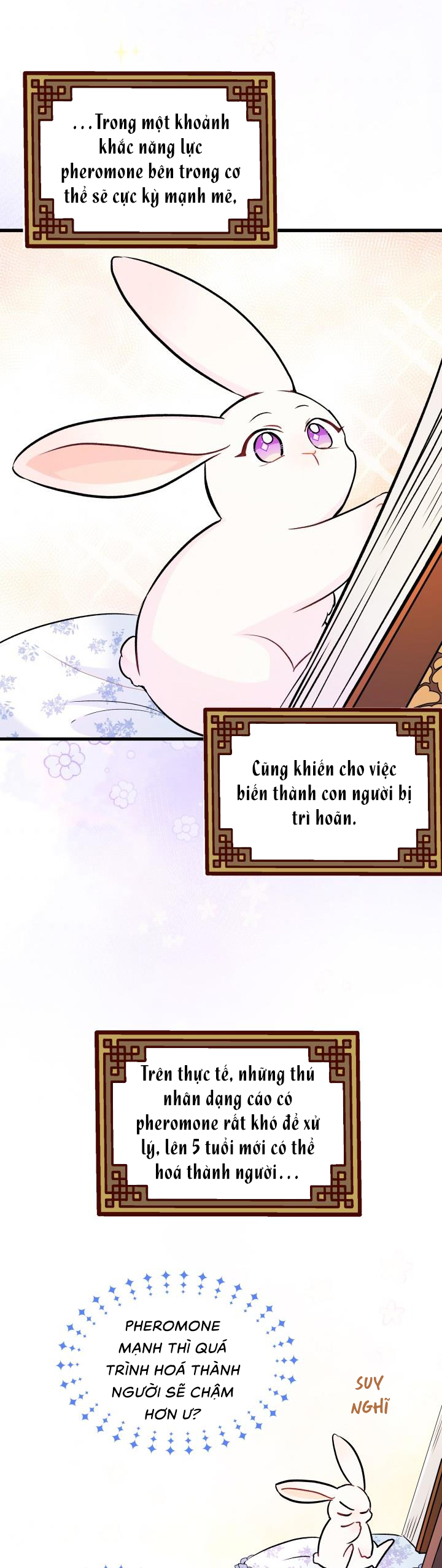 mối liên kết giữa báo đen và bé thỏ chapter 13 19