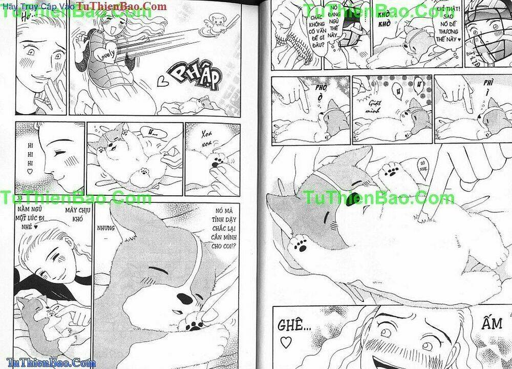 chó con mo mo chapter 1 17