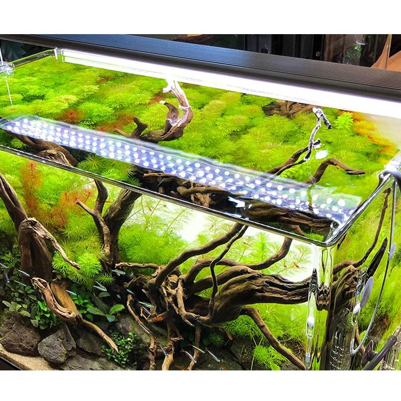 Đèn LED Odyssea Slim X 10000k | Đèn Led Odyssea Thuỷ Sinh Siêu Sáng