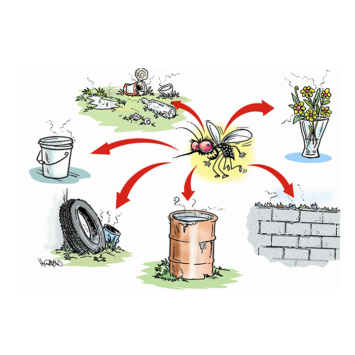 Chất diệt bọ gậy (lăng quăng) Abate 1SC - BAFS CHLB Đức (100g / chai)