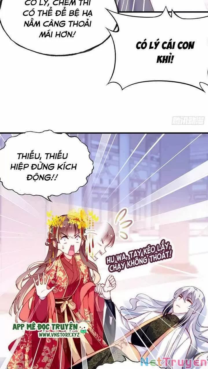 lại bị bệnh chiều chuộng quấn lấy chapter 6 11