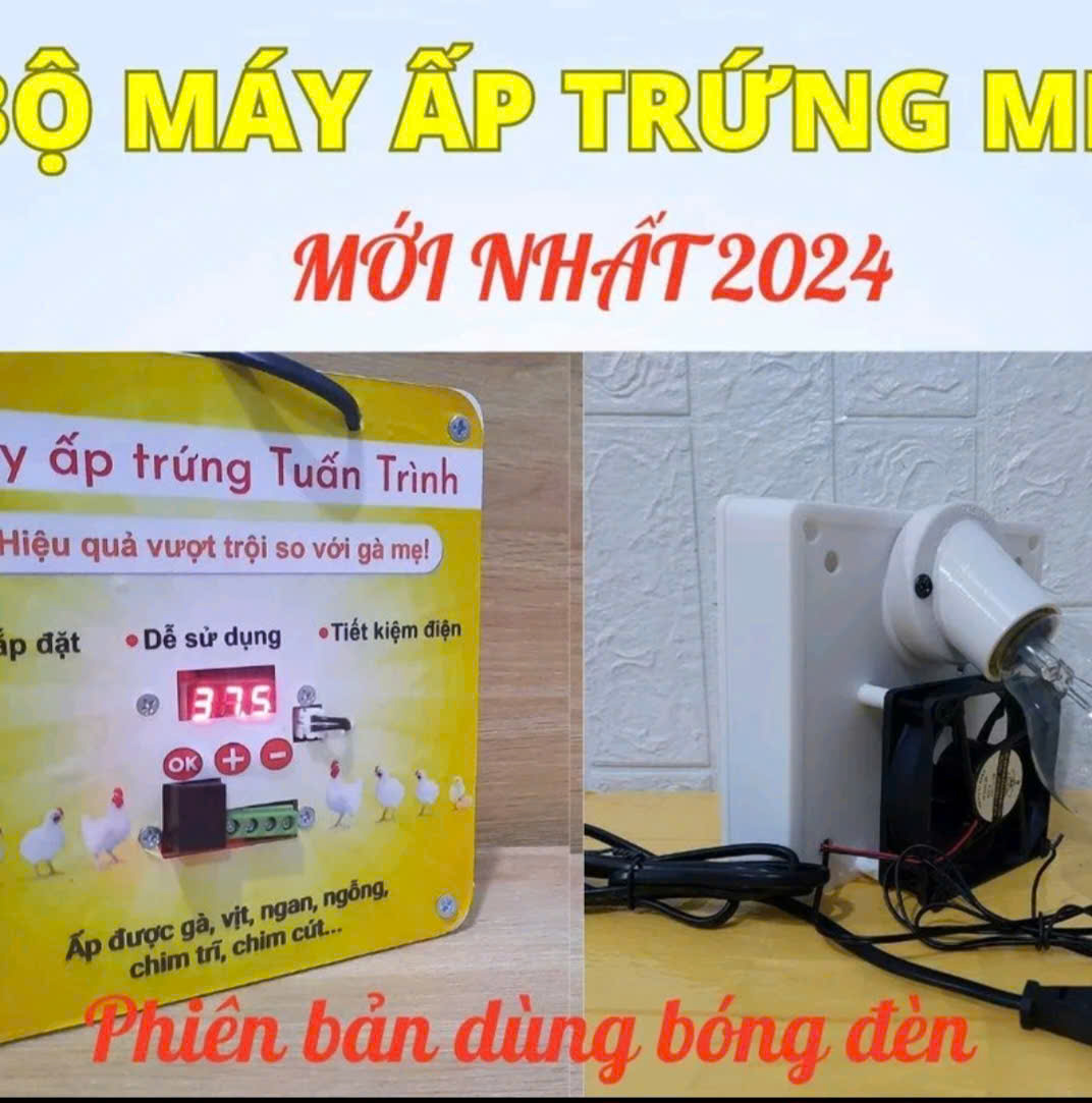 Máy ấp trứng gà chim mini Tuấn Trình, 50-100 trứng, ấp nở trên 90%, chưa gồm thùng xốp