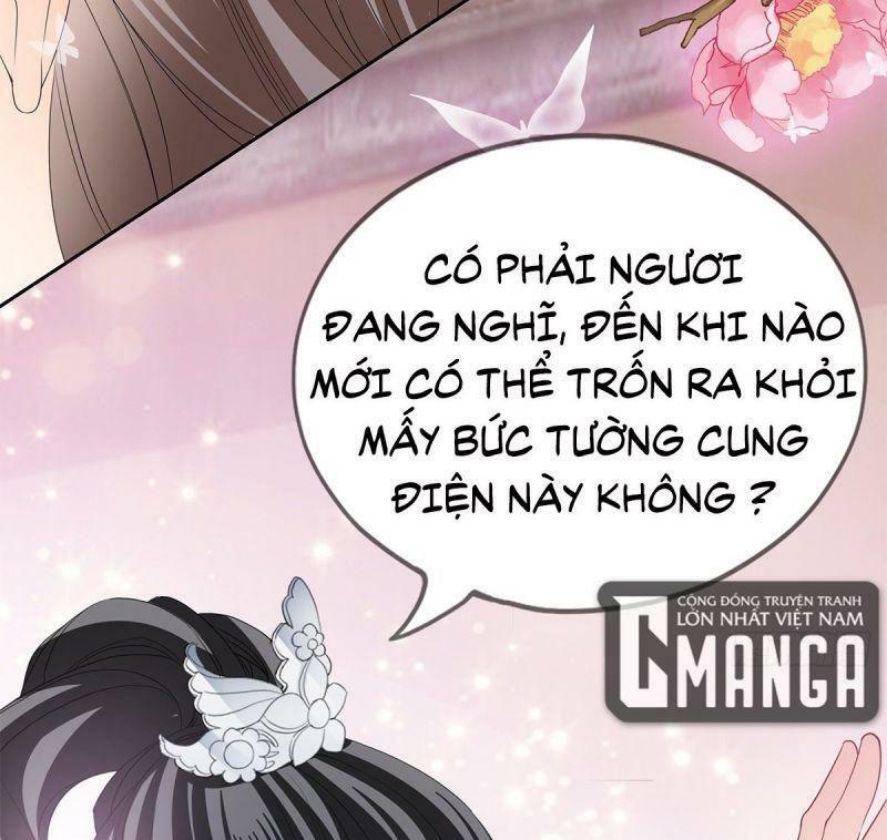 bổn vương muốn nàng chapter 31 42