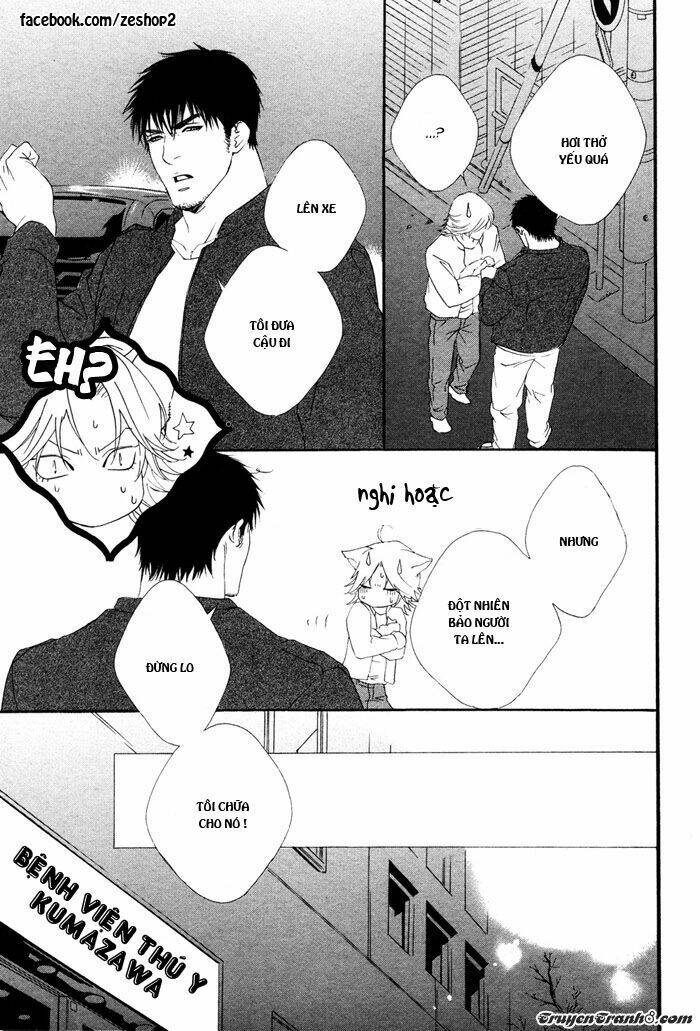 người nuôi mèo và bác sĩ thú y chapter 1 17