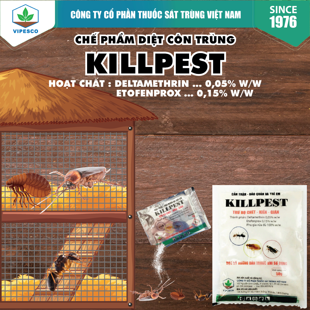 KILLPEST-50GR - DIỆT TRỪ BỌ CHÉT, KIẾN, GIÁN