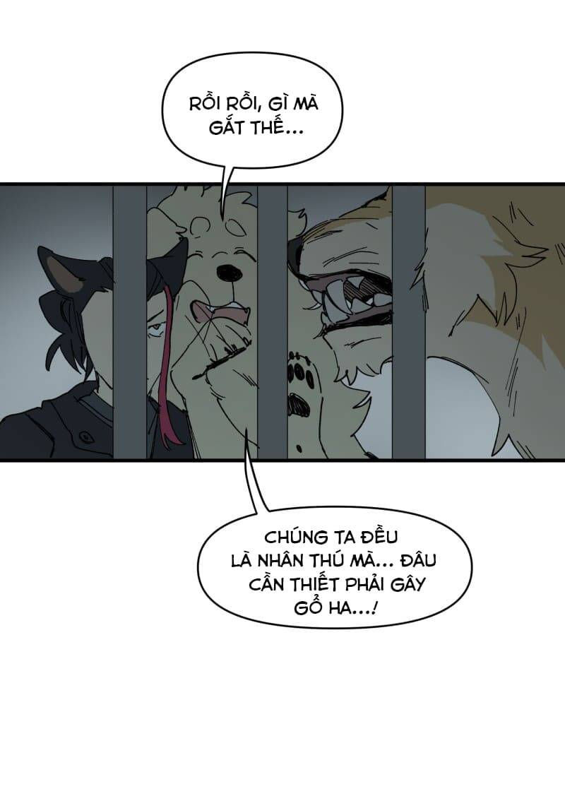 lumine - cội nguồn ánh sáng chapter 144 33