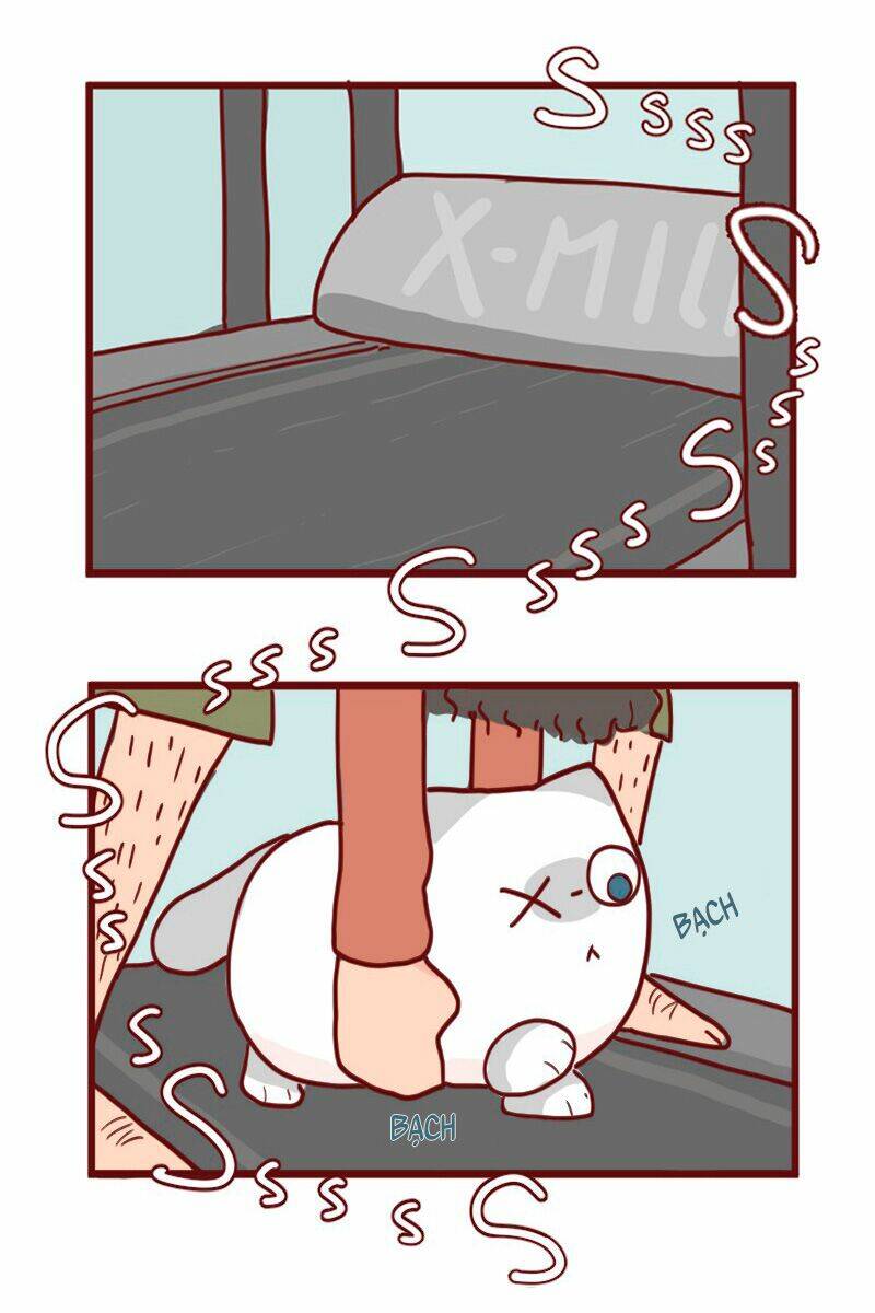 saphie: chú mèo một mắt chapter 12 8