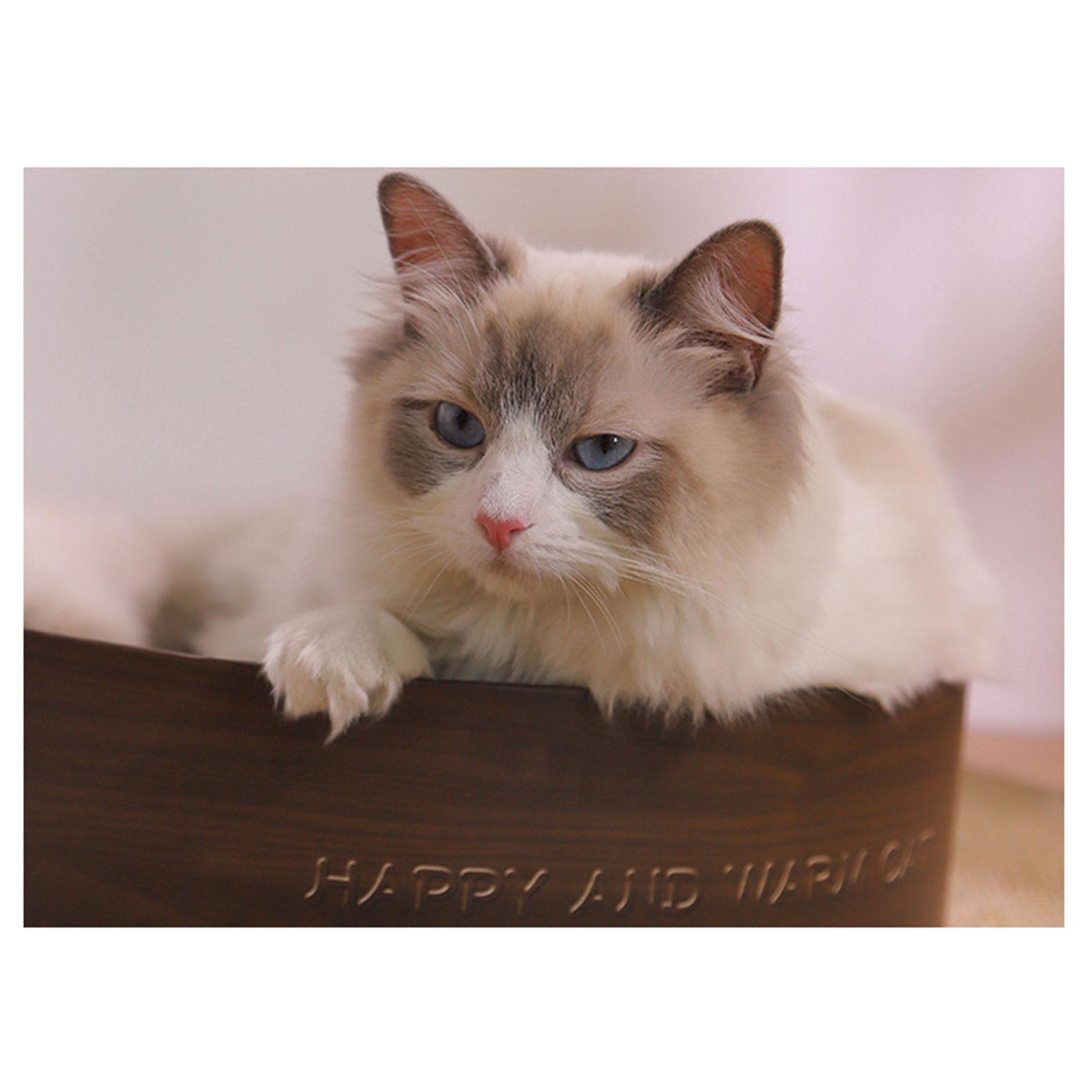 Cardboard Cat Scratcher Bed Scratch Pad Nest Corrugated Scratching Board, Training Toy for Furniture Protection