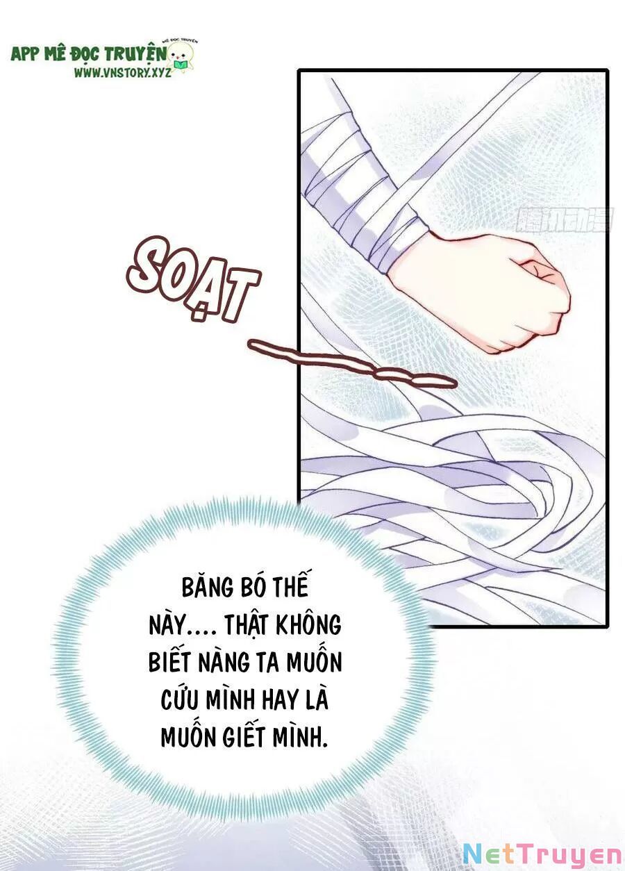 lại bị bệnh chiều chuộng quấn lấy chapter 69 37