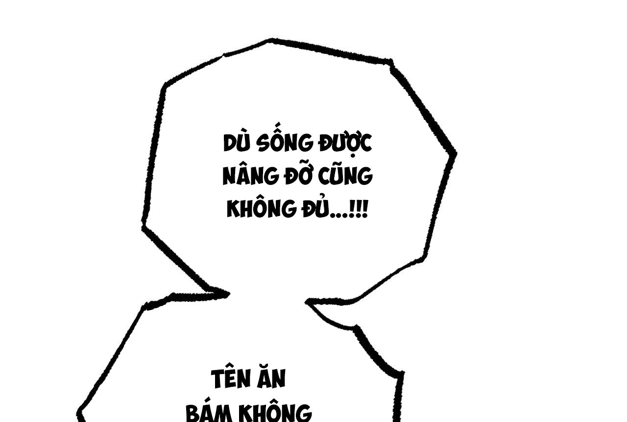 những chú thỏ của hapypy chapter 58 122