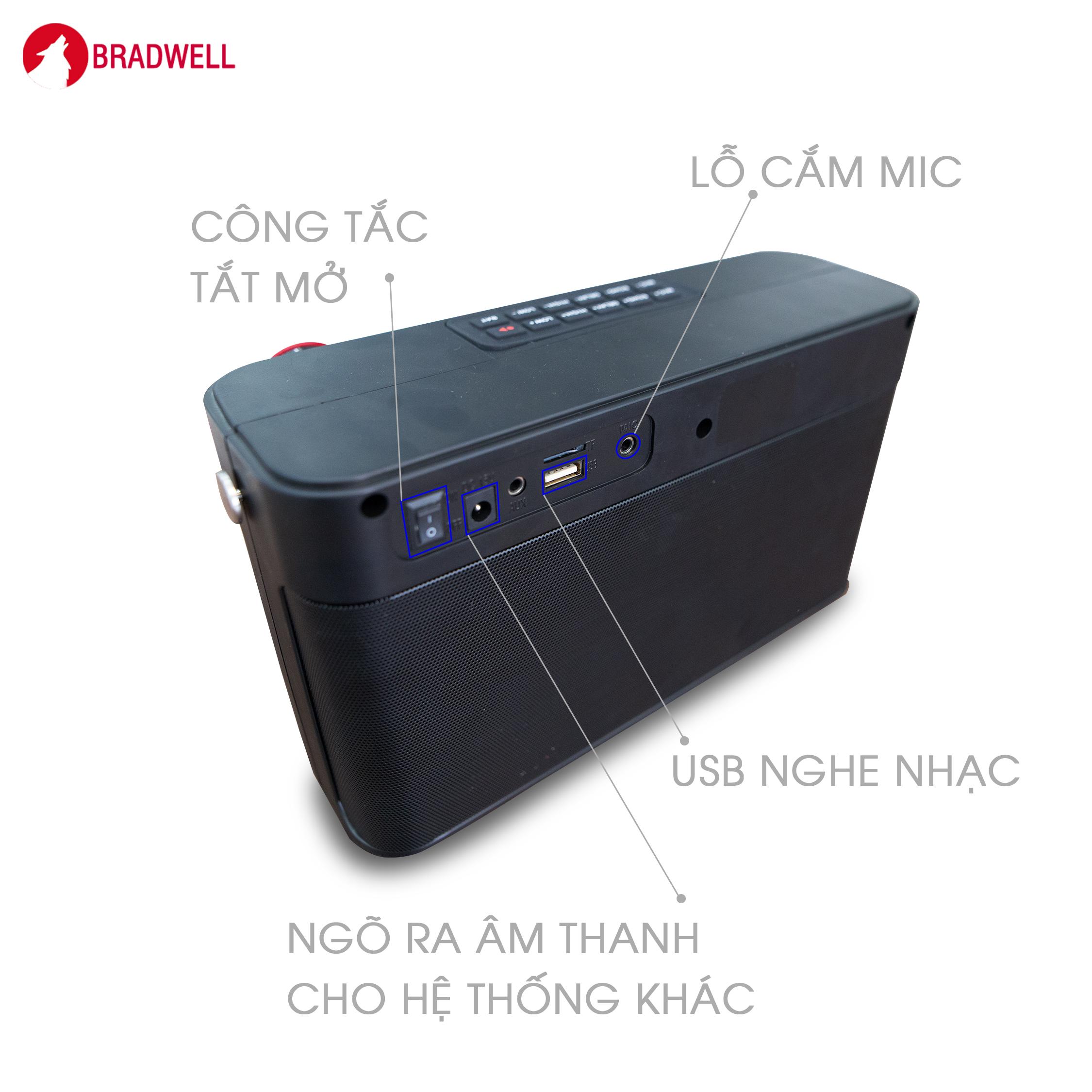 Loa di động mini mạnh mẽ Bradwell BOXT 800 - Hàng chính hãng