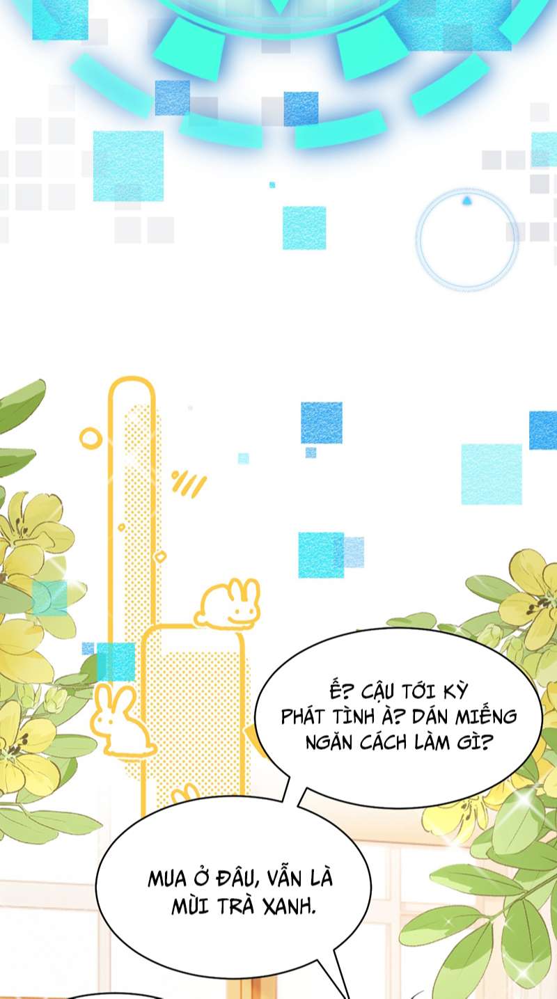 tín tức tố nói chúng ta không thể chapter 72 41