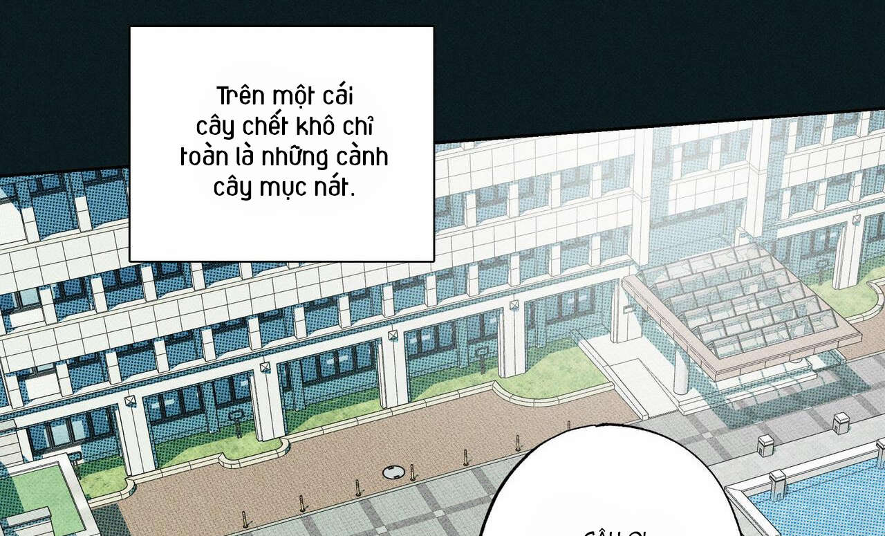 chàng giao pizza và gold palace chapter 33 132