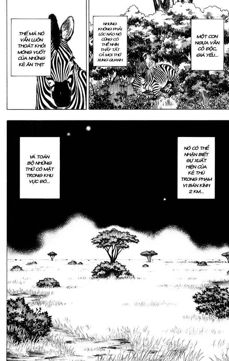 tấm thẻ bí ẩn chapter 41 2