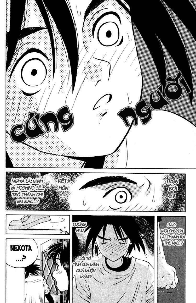 parallel chapter 19 5