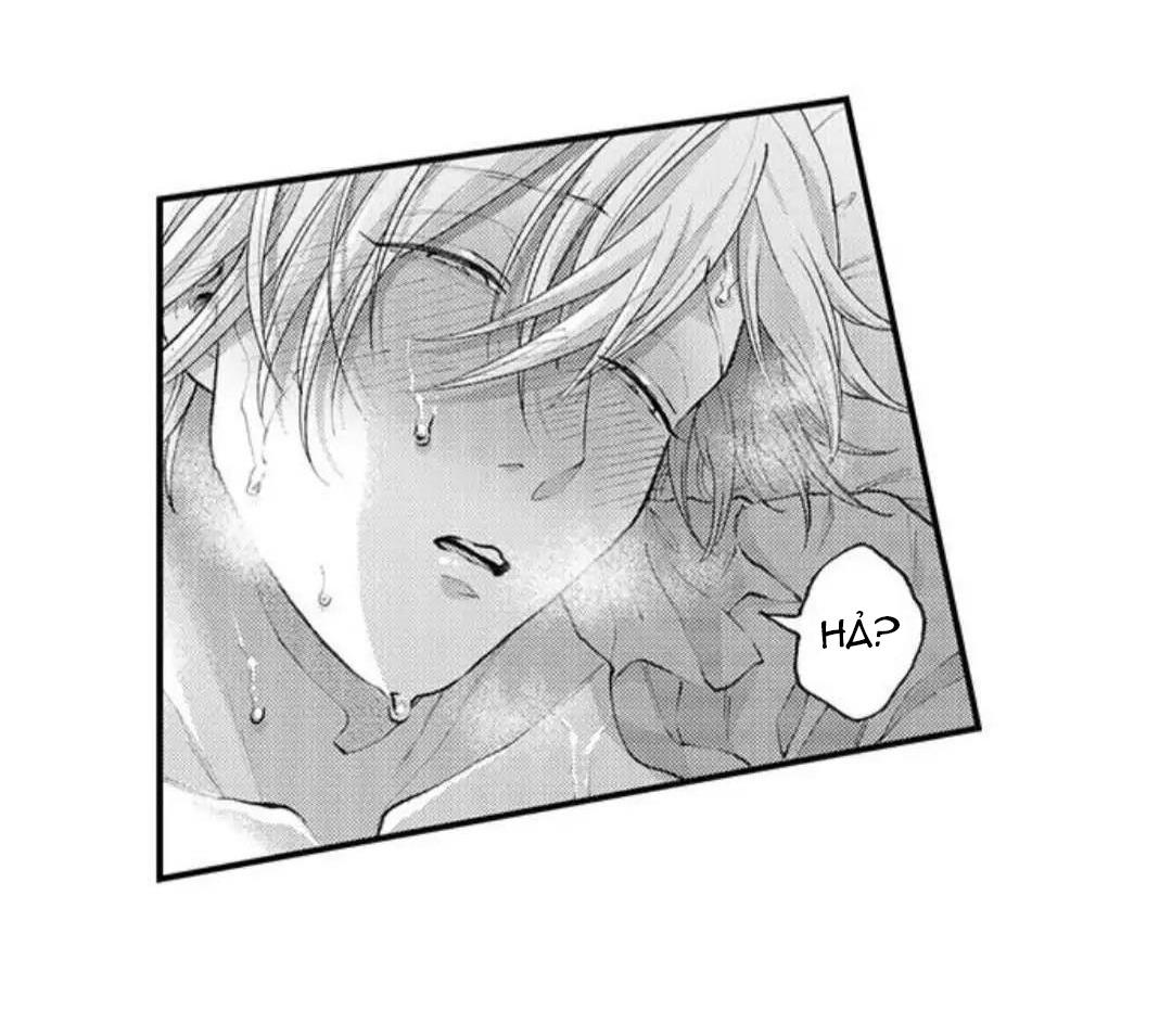 bị tán tỉnh bởi chàng trai lập dị chapter 81 14