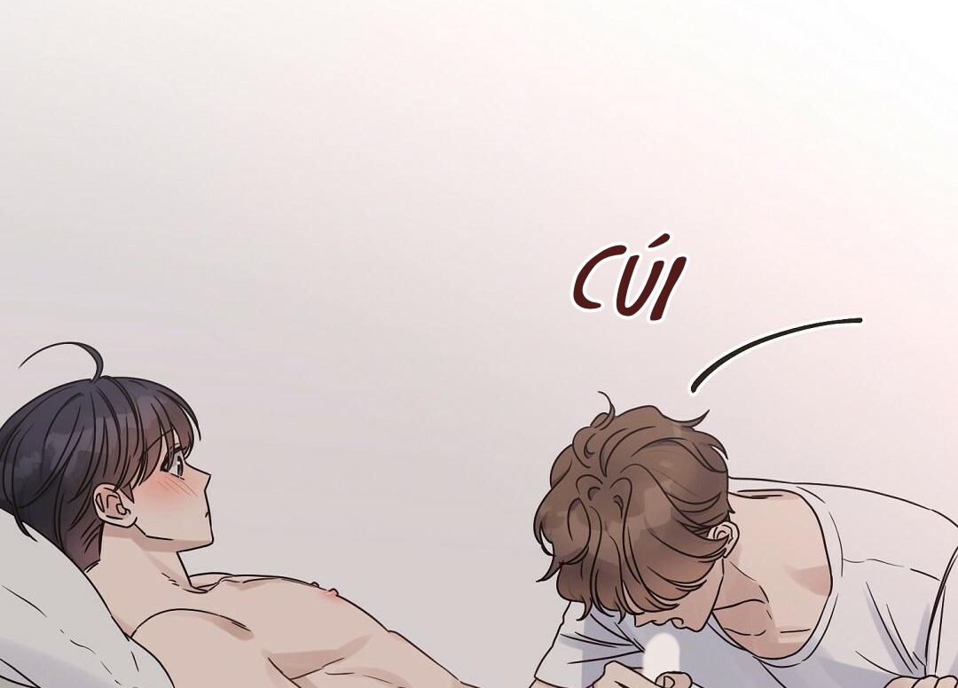 phức cảm tự ti của omega chapter 19 27