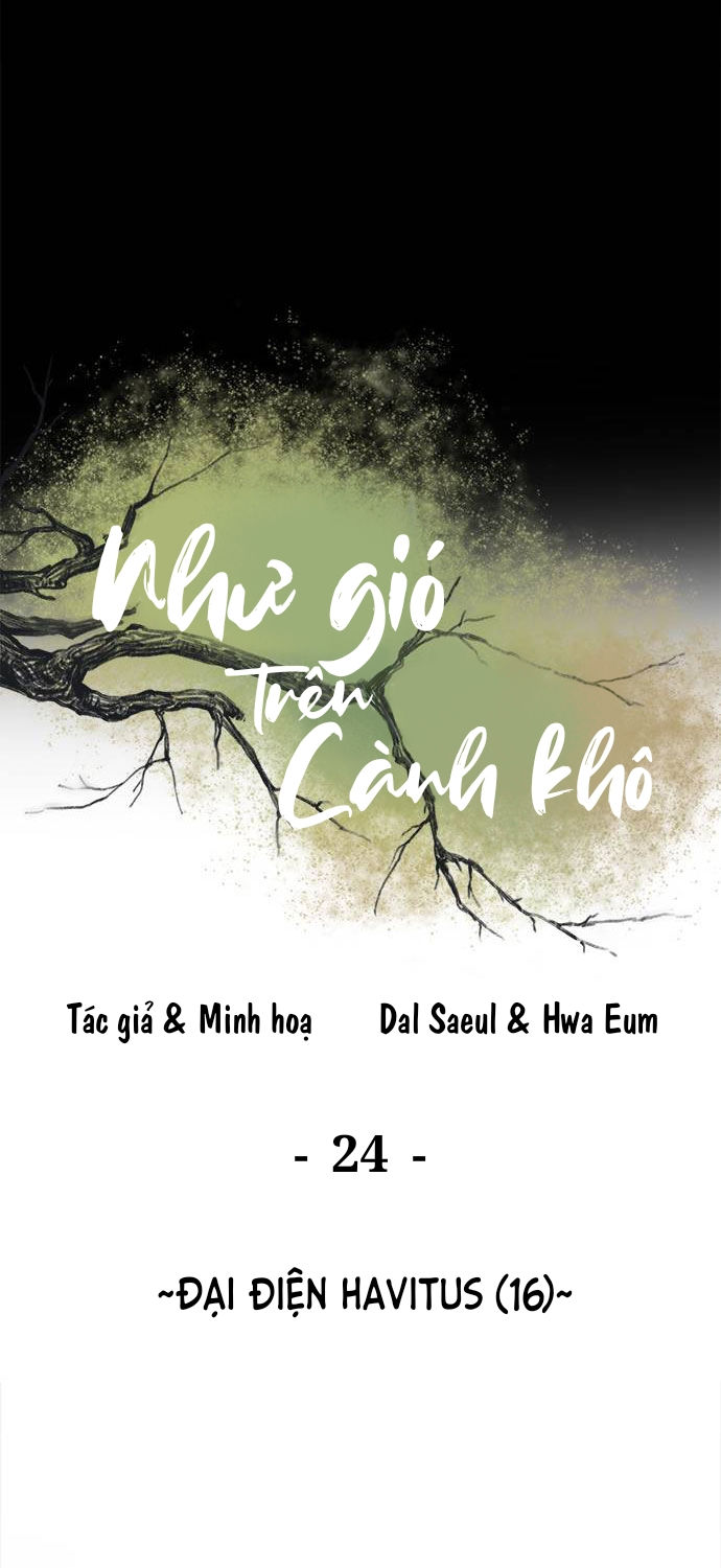 như gió trên cành cây khô chapter 24 45