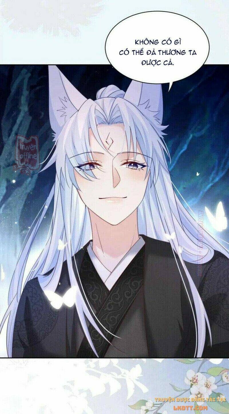 hắc hóa nam chính trực tuyến nuôi thỏ chapter 52 21