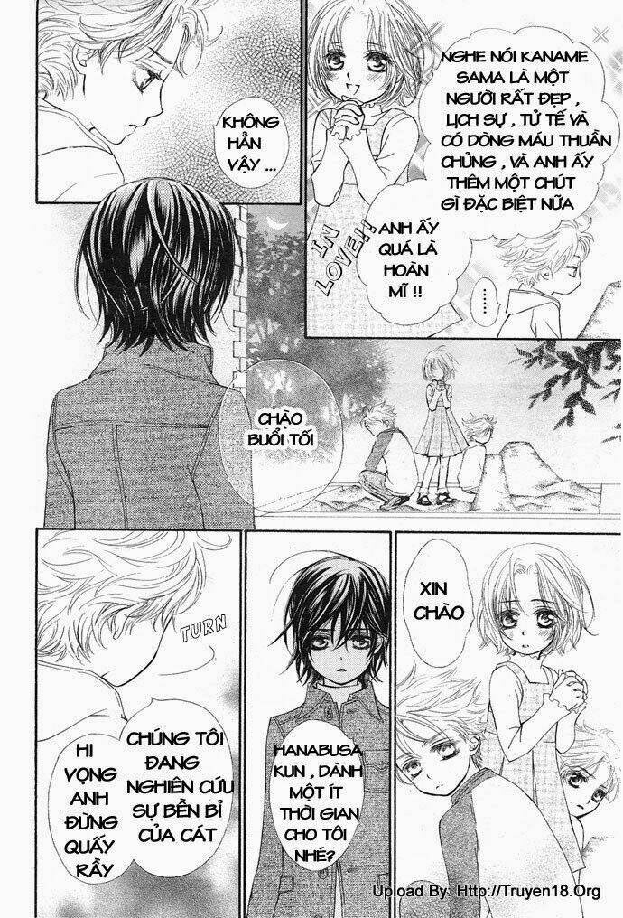 hiệp sĩ vampire chapter 28 18