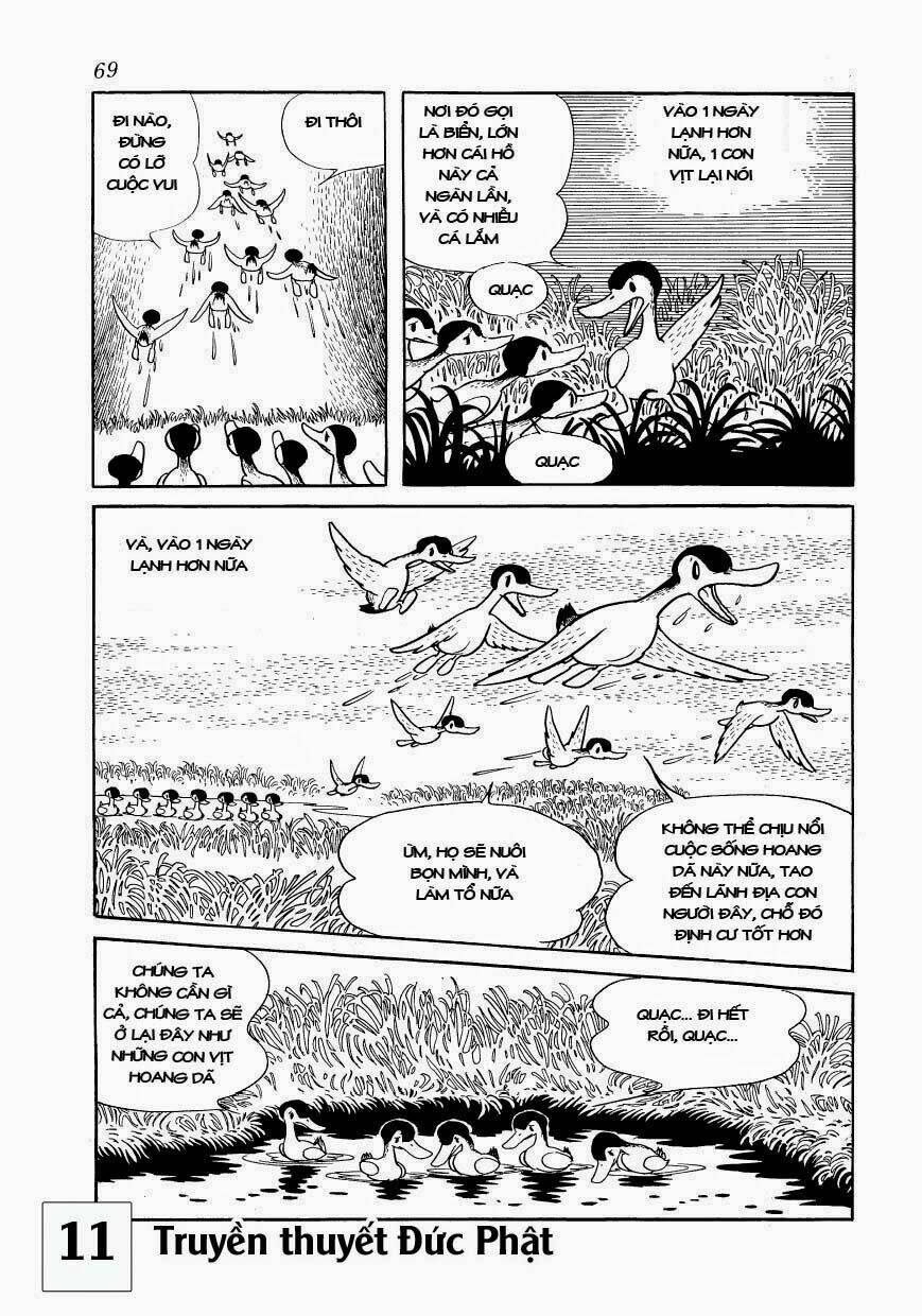 buddha - truyền thuyết đức phật chapter 51 4