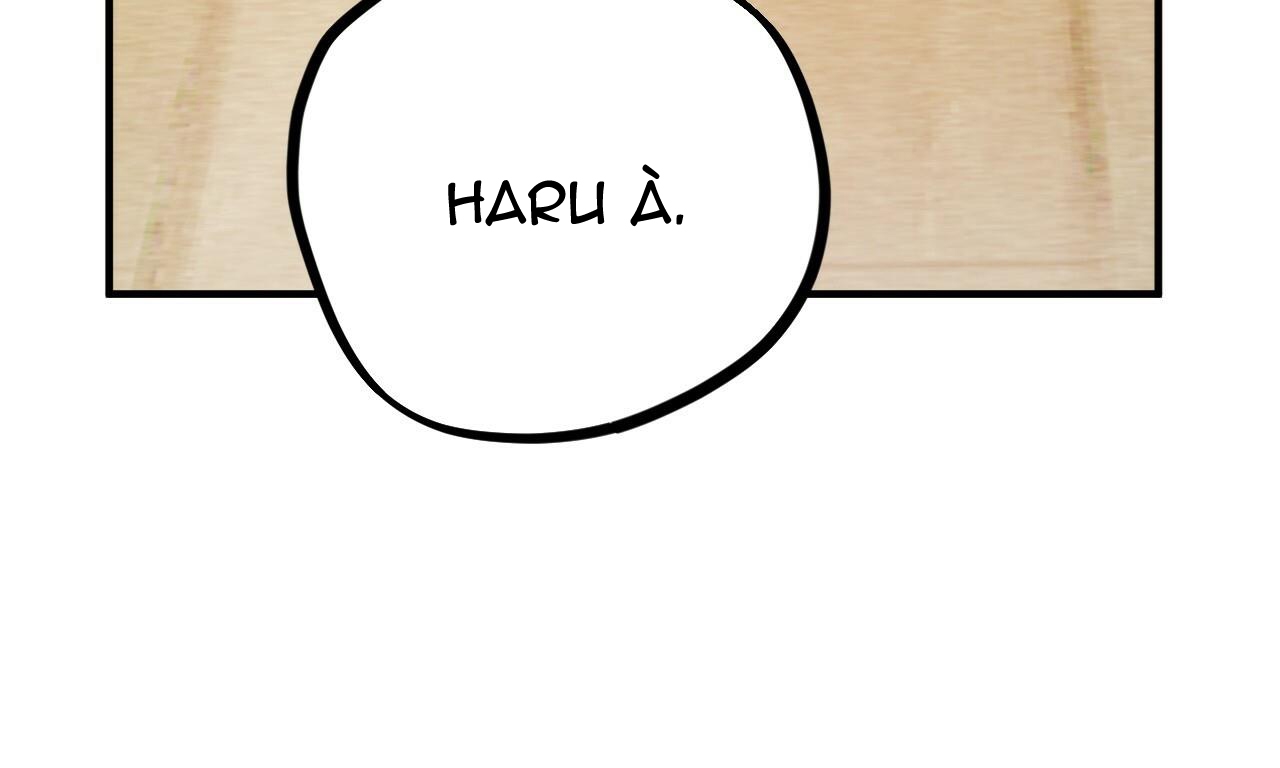 đàn thỏ của habibi chapter 33 16