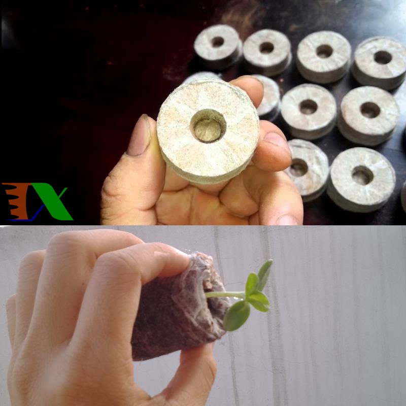 100 viên nén ươm hạt