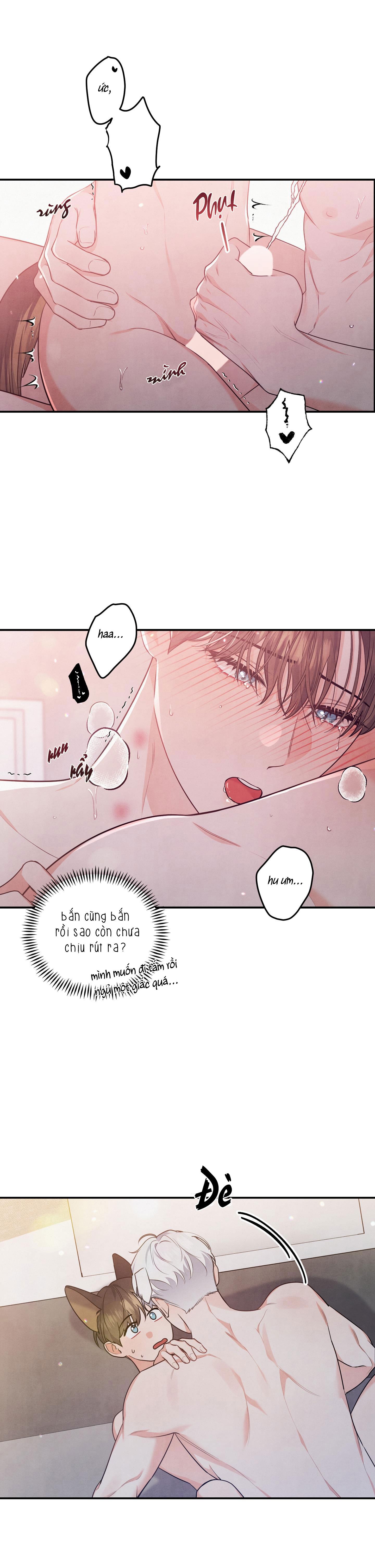 mối quan hệ ngu ngốc chapter 16 15