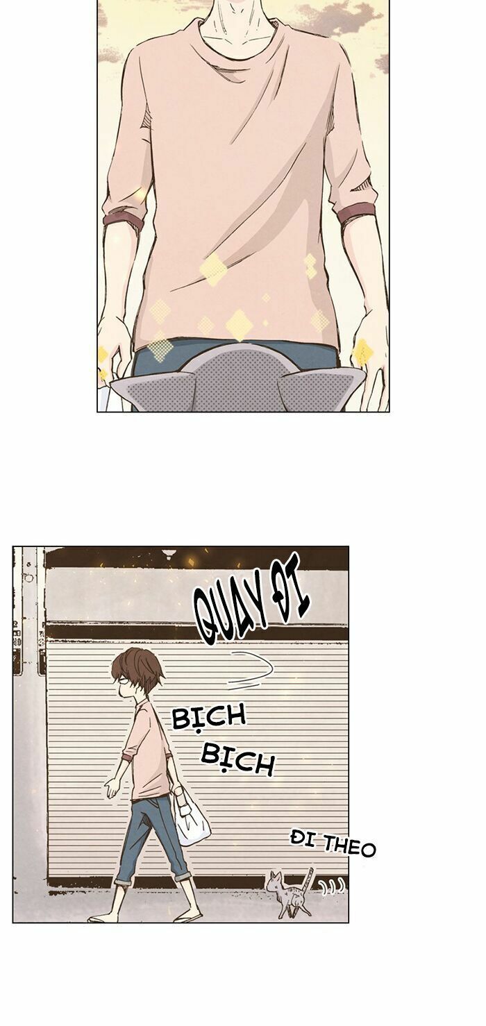 honey! honey! marry me! chapter 31 32