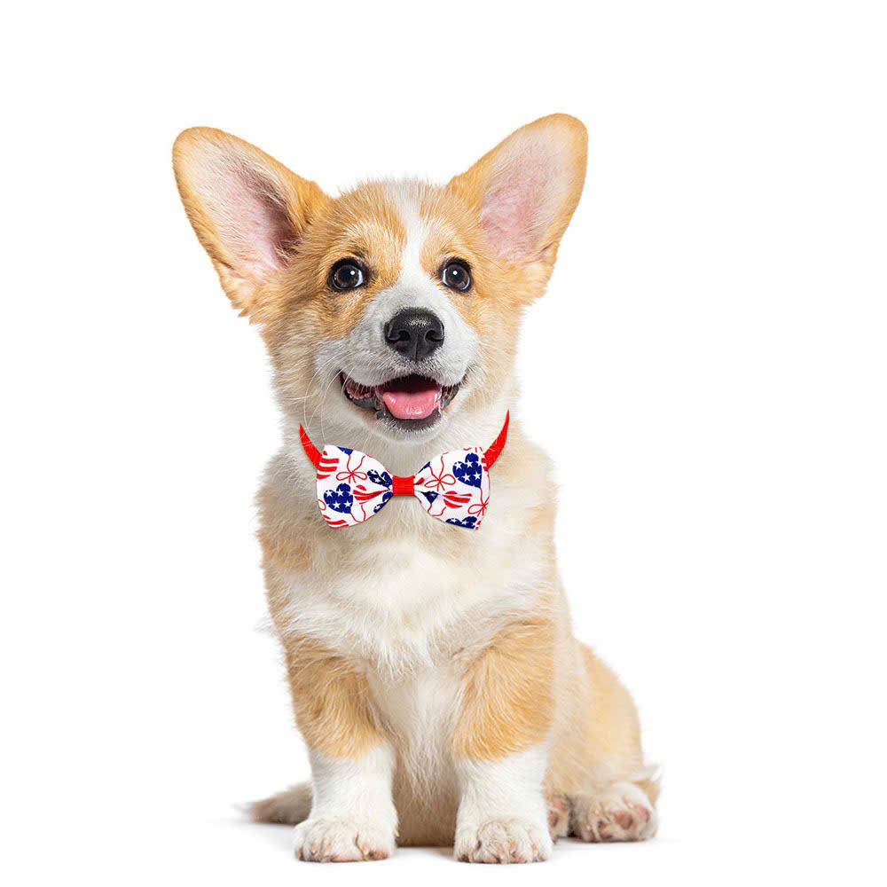 VÒNG CỔ THÚ CƯNG CHÓ MÈO NƠ DỄ THƯƠNG PHONG CÁCH MỸ SIZE 22-37CM MÃ 16 CHO THÚ CƯNG CHÓ MÈO