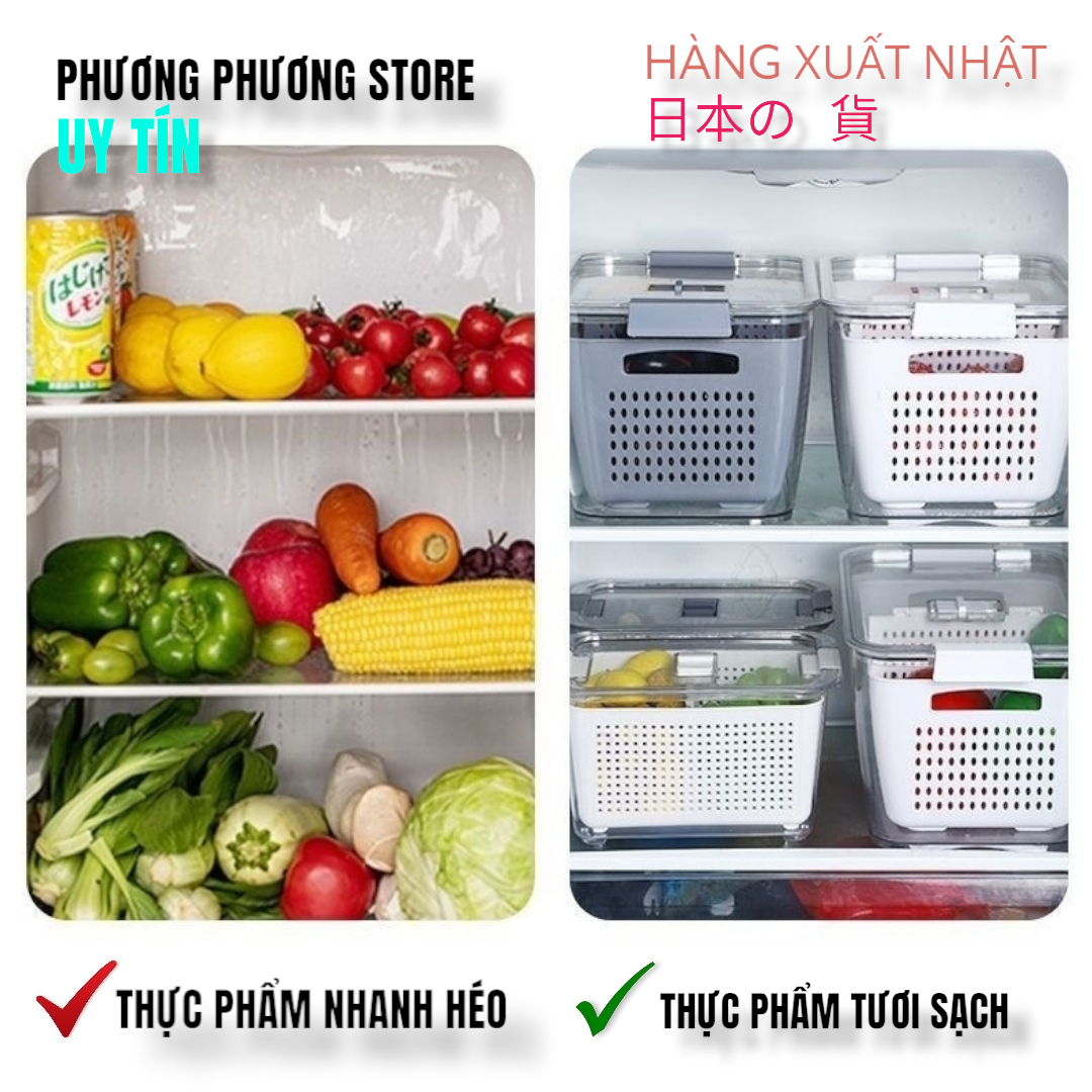 Hộp Bảo Quản Thực Phẩm Tủ Lạnh 2 lớp Trong Suốt, Giúp Ráo Nước Bảo Quản Tiện Lợi