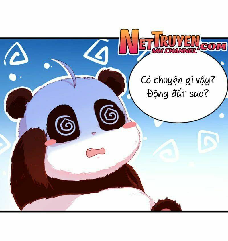 thiên thần gấu trúc muốn được ôm chapter 9 11