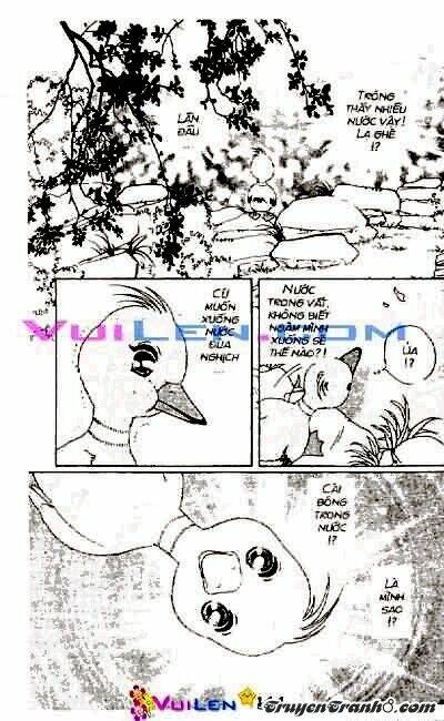 đóa hoa yêu kiều chapter 3 145