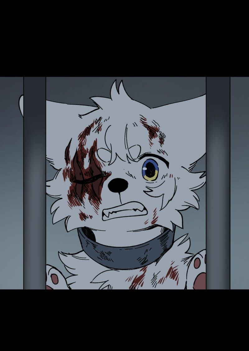 lumine - cội nguồn ánh sáng chapter 138 42