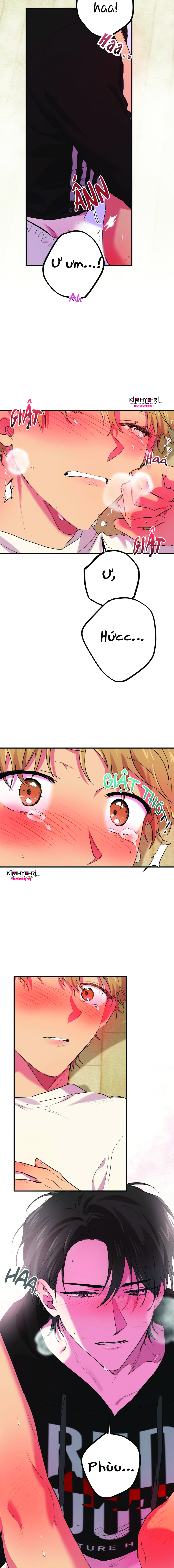 những chú thỏ của hapypy chapter 9 6