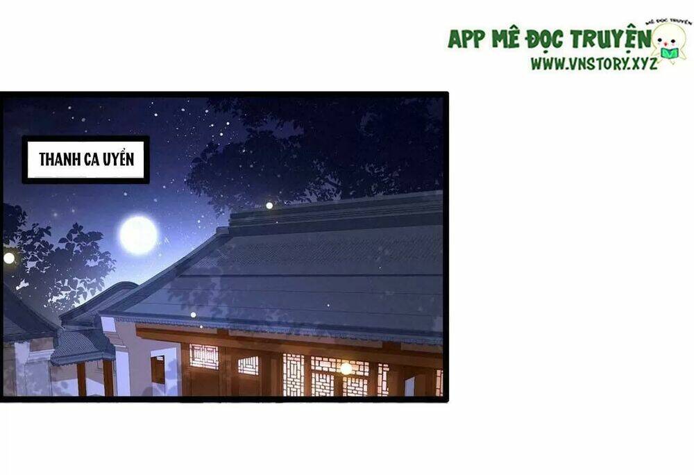 phượng hoàng vu phi chapter 104 24