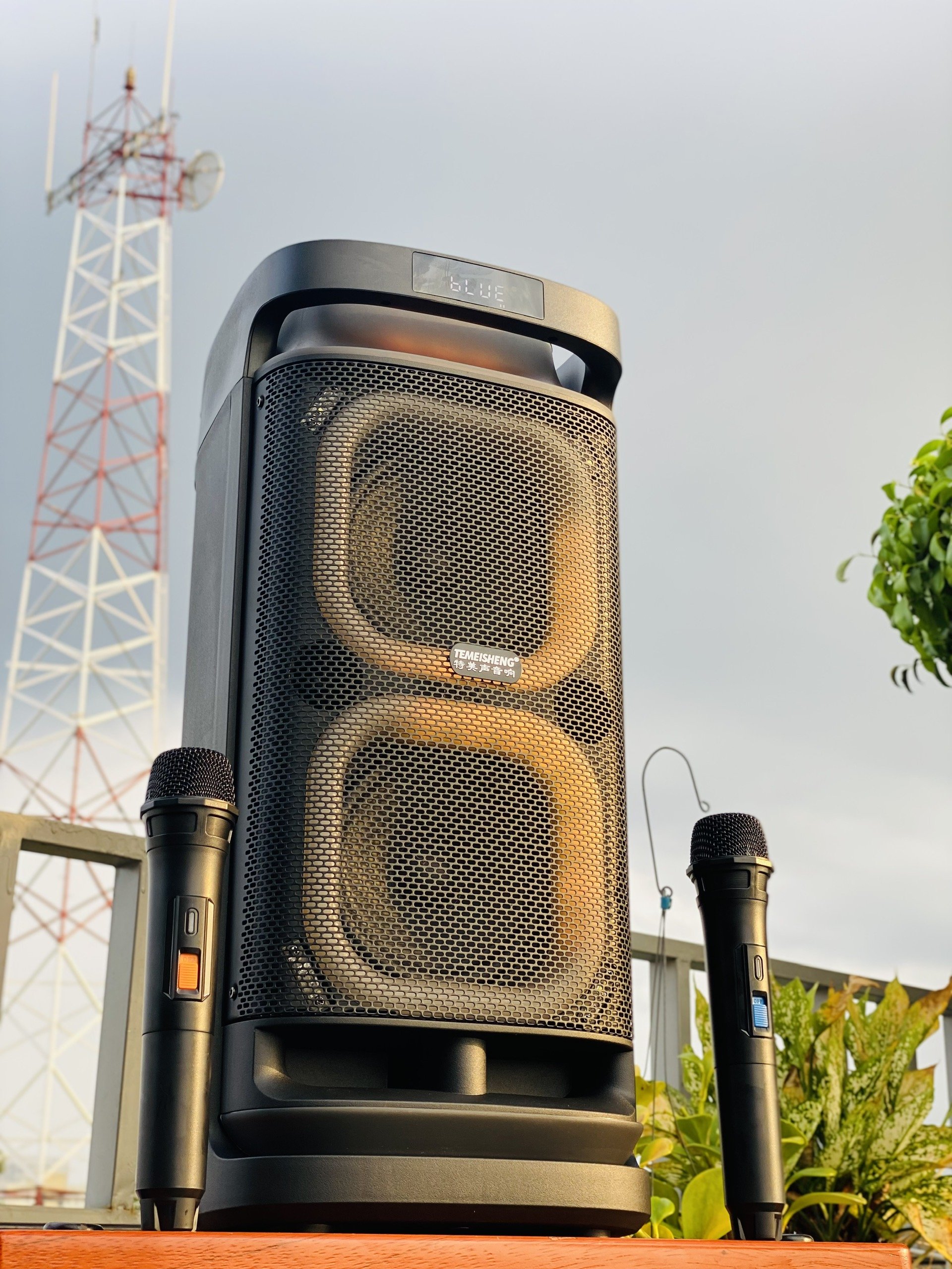 Loa Karaoke Bluetooth Đèn Led RGB Temeisheng 6620D - Công Suất 200W Thiết Kế Sang Trọng Đẳng Cấp Kèm 2 Micro Karaoke Hát Nhẹ Vang Sâu, Hàng Nhập Khẩu